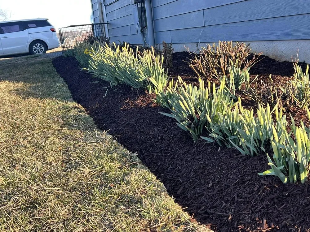 Trusted lawn mowing service in Waynesboro, VA by Adolfo's Landscape & Lawn Service