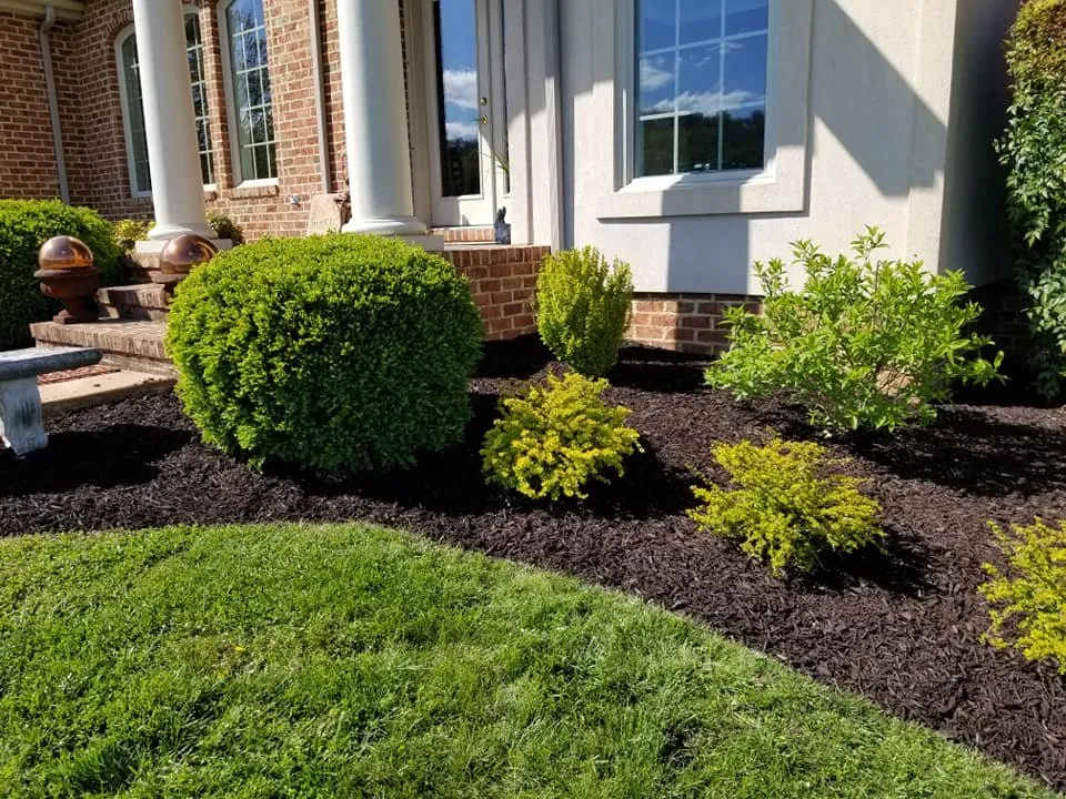 Professional yard maintenance in Waynesboro, VA - Adolfo's Landscape & Lawn Service