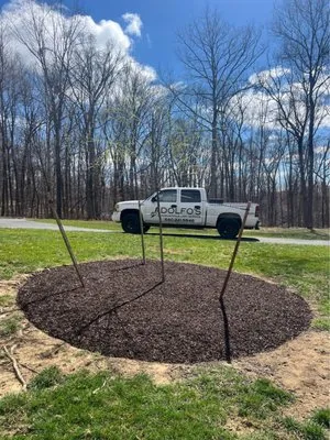 Adolfo's Landscape & Lawn Service