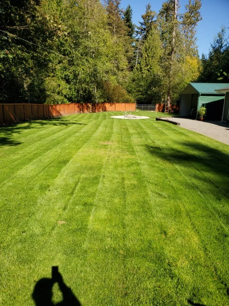 Reliable outdoor landscaping with custom design in Seattle, WA by Adonais Landscaping & Maint