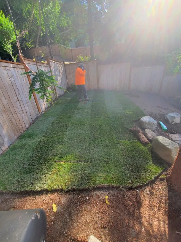 Reliable landscaping services in Seattle, WA by Adonais Landscaping & Maint