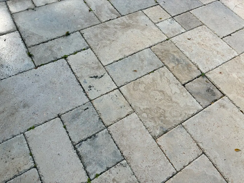 Trusted yard maintenance in Jupiter, FL - Adonay Landscaping