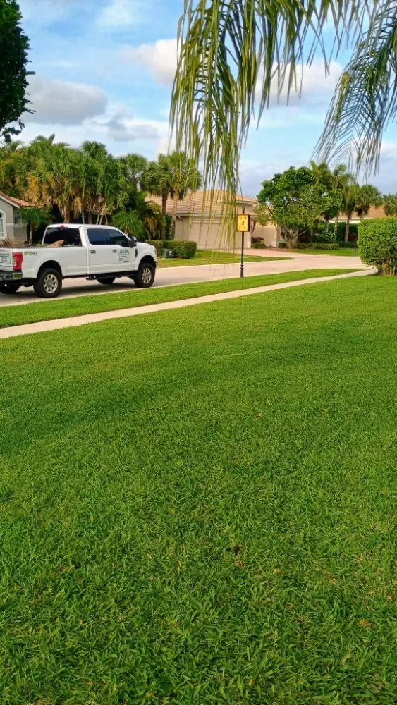 Custom lawn mowing service in Haverhill, FL - Adony's Lawn Care