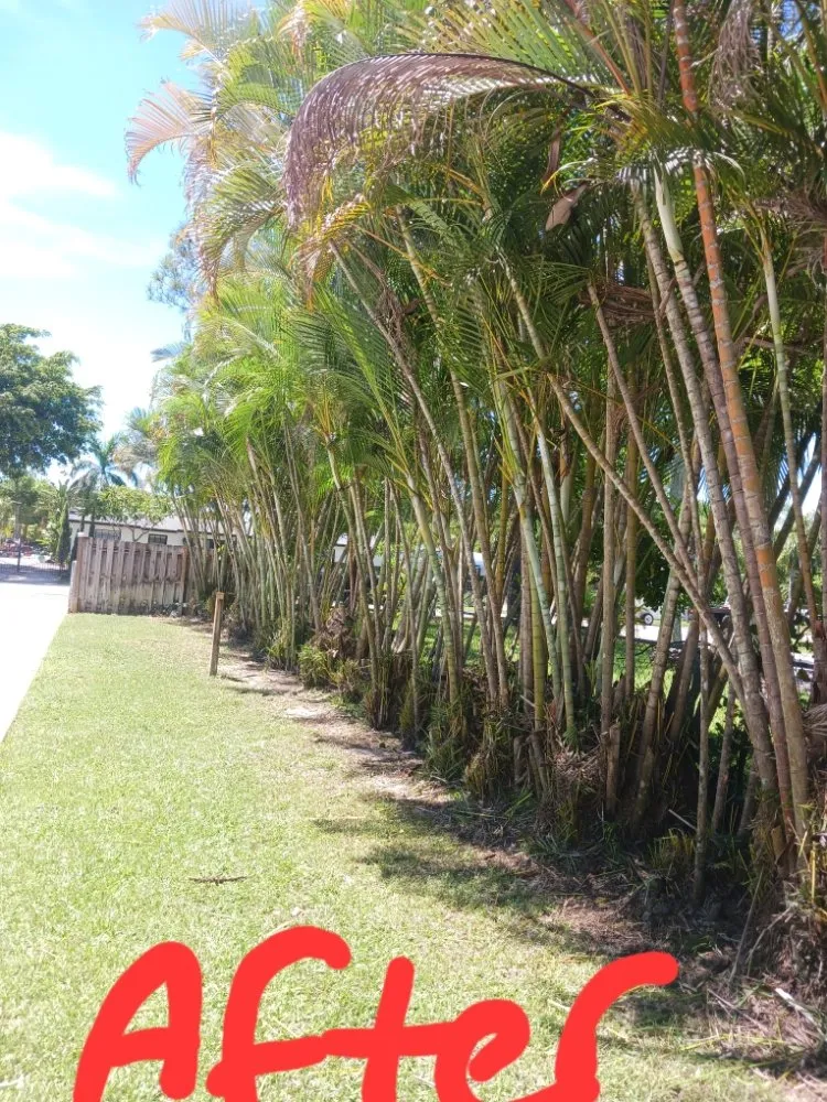 Expert landscaping services with custom design across Haverhill, FL - Adony's Lawn Care