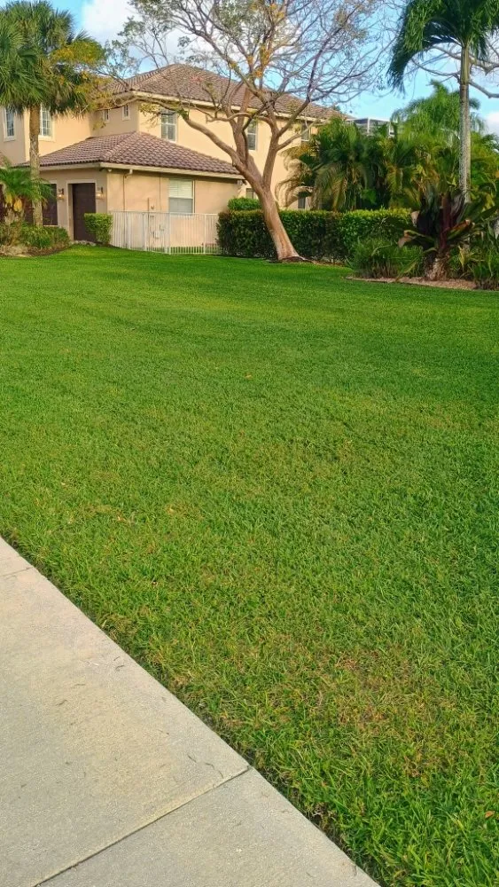 Reliable lawn care service experts serving Haverhill, FL - Adony's Lawn Care