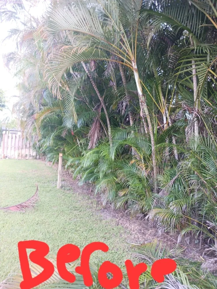 Affordable outdoor landscaping experts serving Haverhill, FL - Adony's Lawn Care