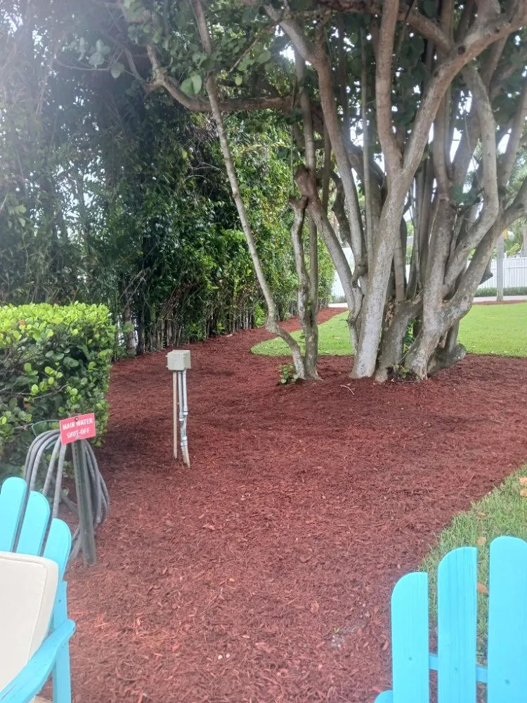 Trusted lawn mowing service for outdoor upgrades in Haverhill, FL by Adony's Lawn Care