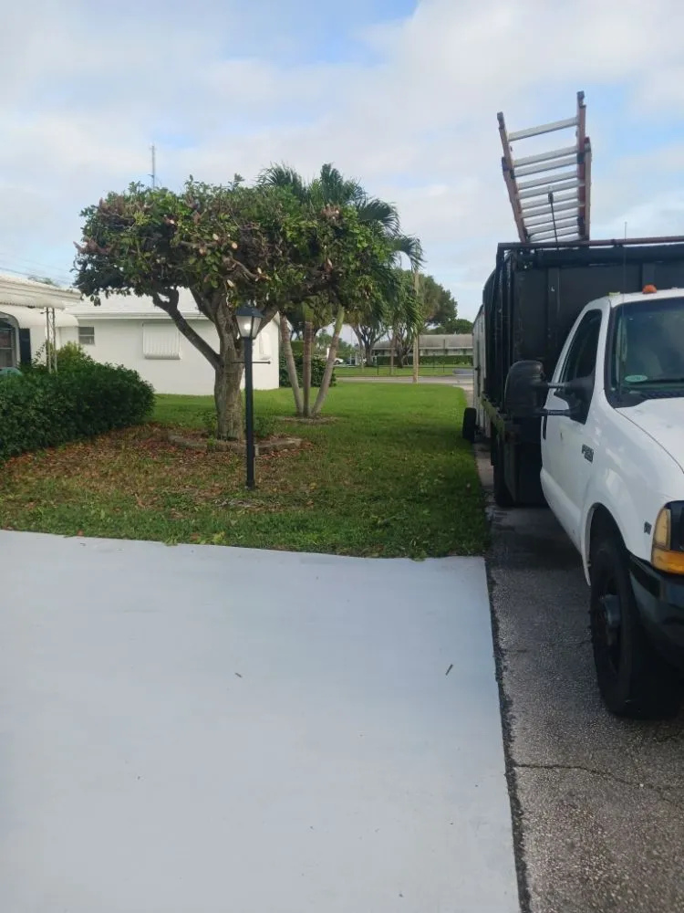 Reliable yard maintenance in Haverhill, FL by Adony's Lawn Care
