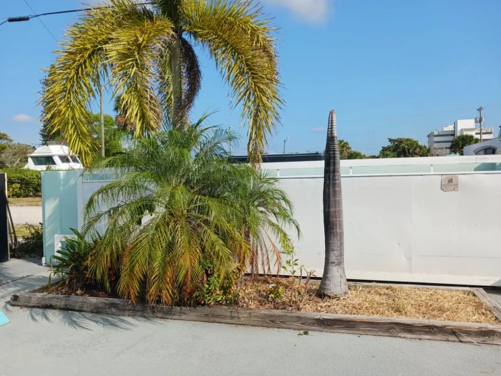 Trusted landscape installation in Haverhill, FL by Adony's Lawn Care