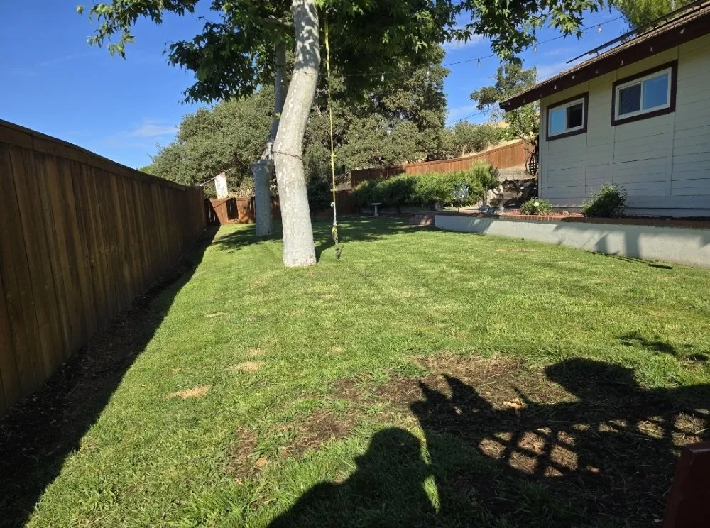 Affordable yard cleanup service in Paso Robles, CA - Adorn Landscape & Maintenance