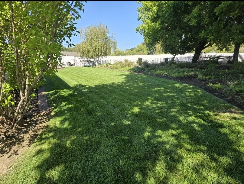 Custom landscaping services for year-round maintenance across Paso Robles, CA - Adorn Landscape & Maintenance