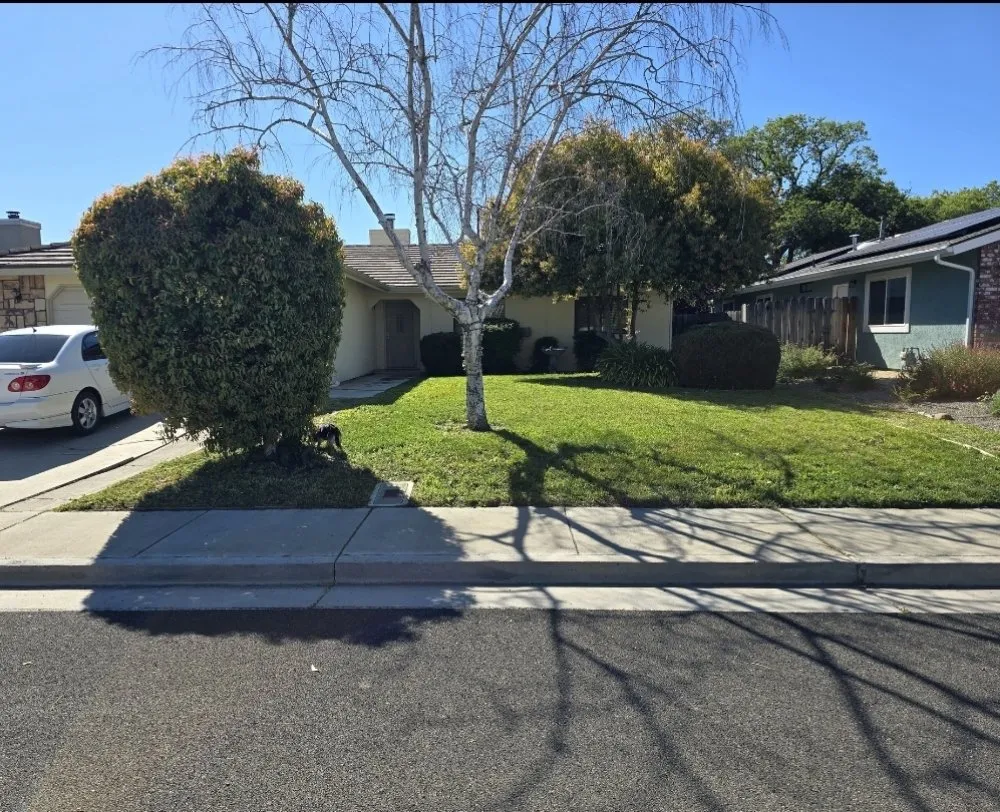 Reliable landscape design in Paso Robles, CA - Adorn Landscape & Maintenance