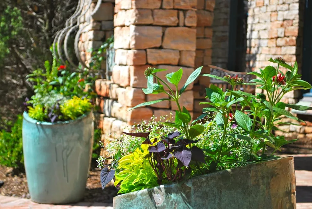 Local lawn mowing service in Oklahoma City, OK by Adorn