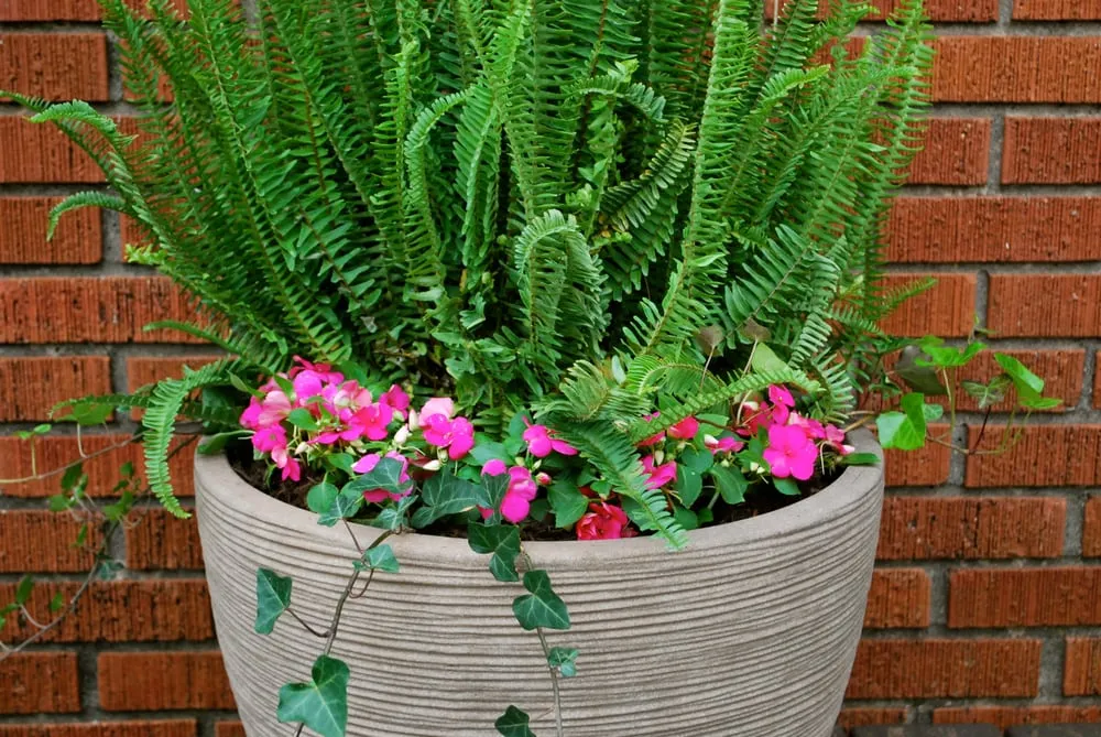 Custom outdoor landscaping for homes across Oklahoma City, OK - Adorn