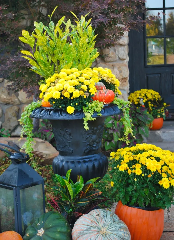 Local landscape design for year-round maintenance in Oklahoma City, OK by Adorn