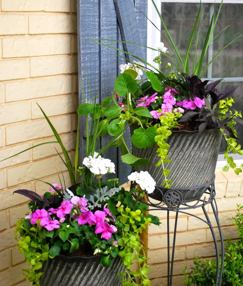 Trusted lawn care service in Oklahoma City, OK by Adorn