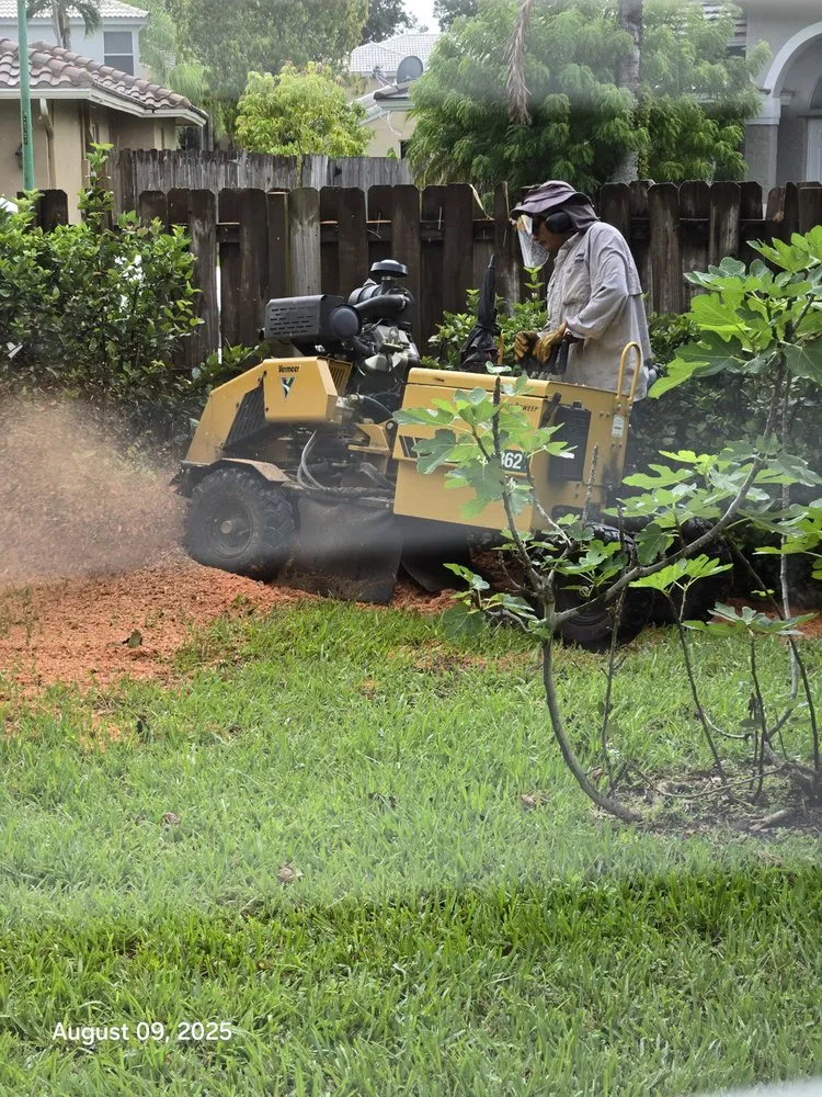 Top-rated residential landscaping with custom design across Miramar, FL - Adorno Landscaping