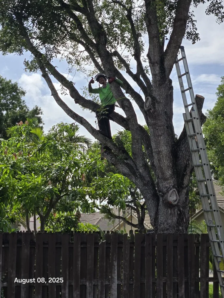 Professional lawn care service with custom design across Miramar, FL - Adorno Landscaping