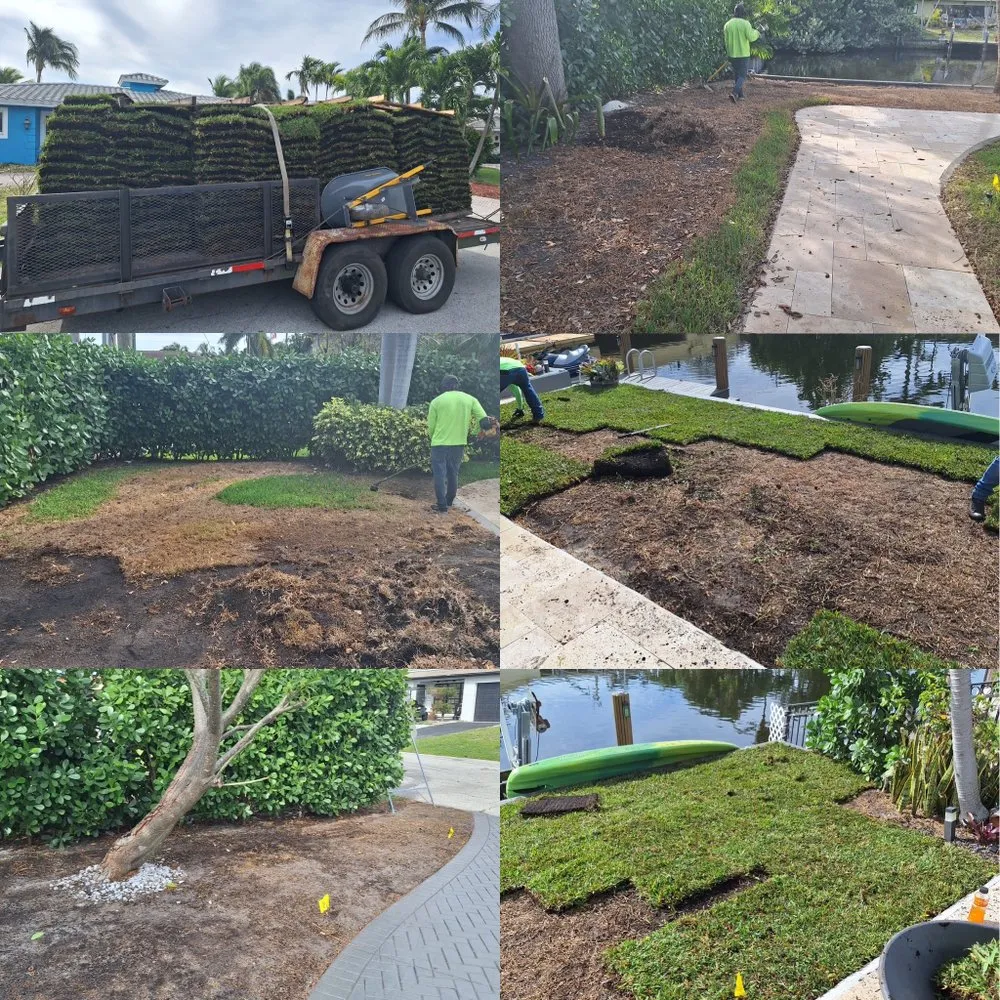 Expert yard cleanup service in Miramar, FL - Adorno Landscaping