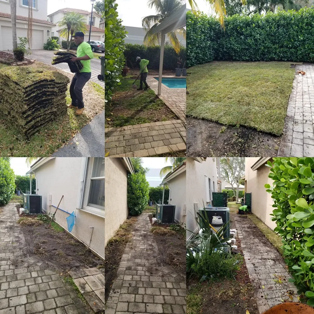 Top-rated landscaping services experts serving Miramar, FL - Adorno Landscaping
