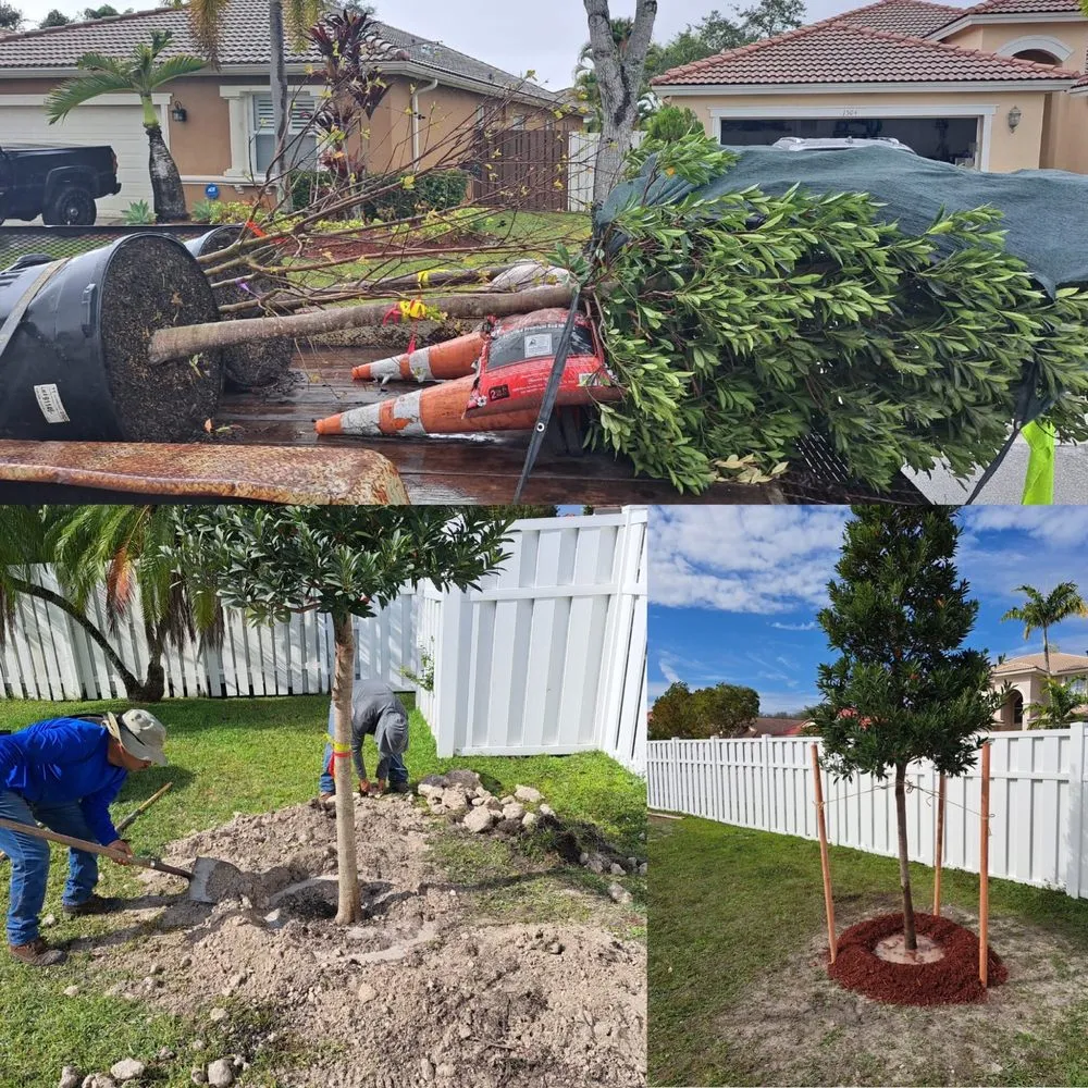 Professional landscape installation experts serving Miramar, FL - Adorno Landscaping