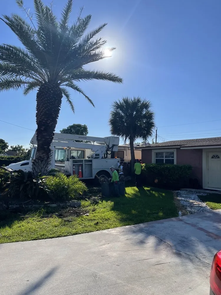 Trusted yard maintenance in Miramar, FL - Adorno Landscaping