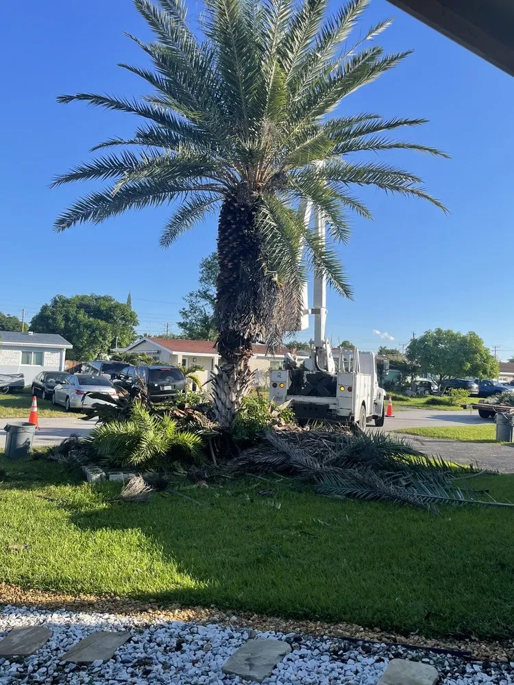 Affordable yard cleanup service in Miramar, FL - Adorno Landscaping
