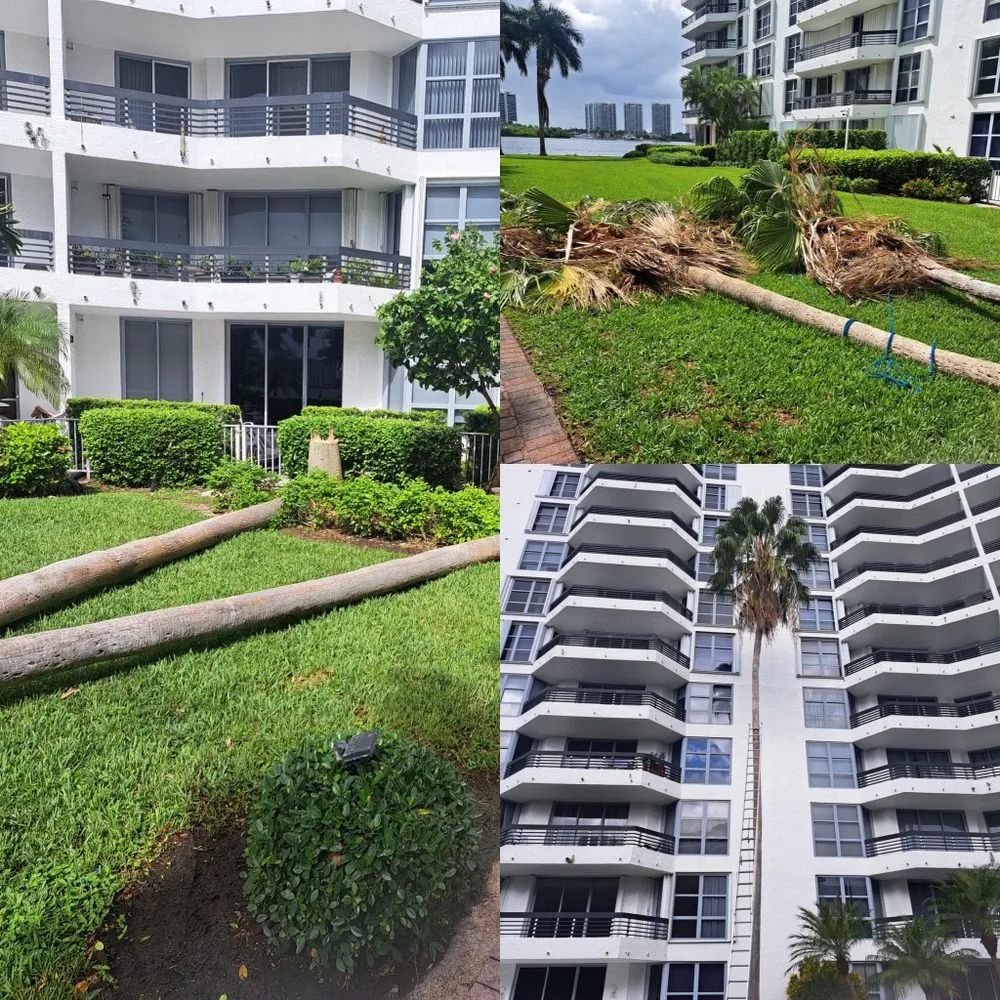 Top-rated lawn care service with custom design across Miramar, FL - Adorno Landscaping