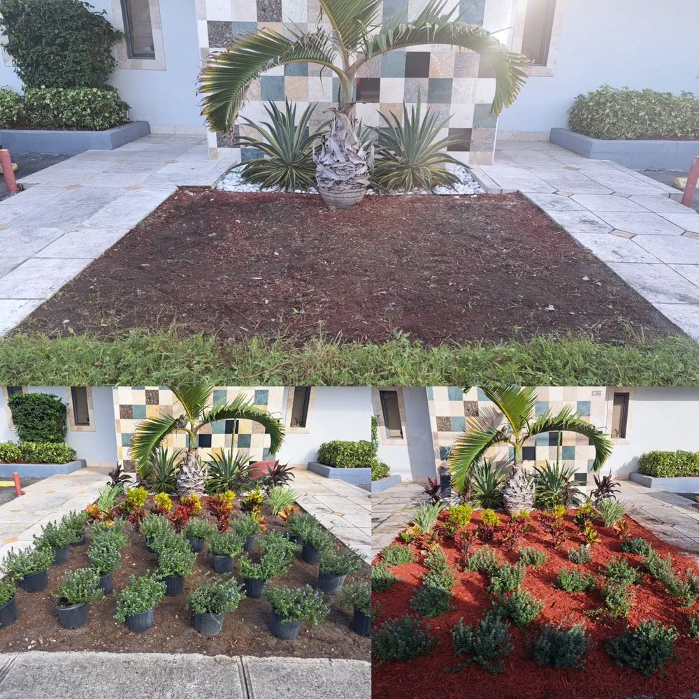 Top-rated residential landscaping experts serving Miramar, FL - Adorno Landscaping