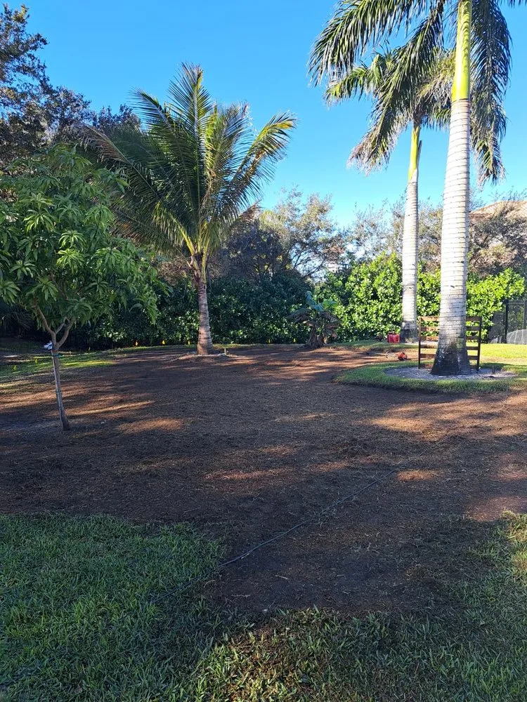 Reliable residential landscaping in Miramar, FL - Adorno Landscaping