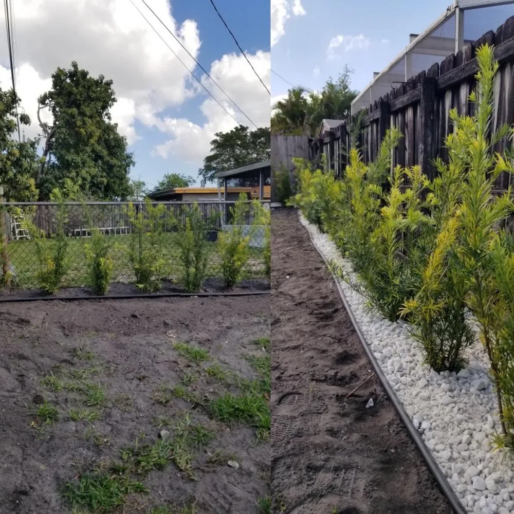 Local landscape design for year-round maintenance across Miramar, FL - Adorno Landscaping