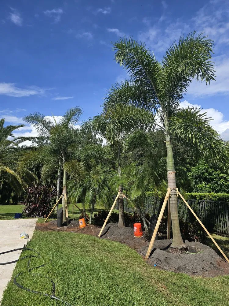 Reliable garden landscaping for residential properties across Miramar, FL - Adorno Landscaping
