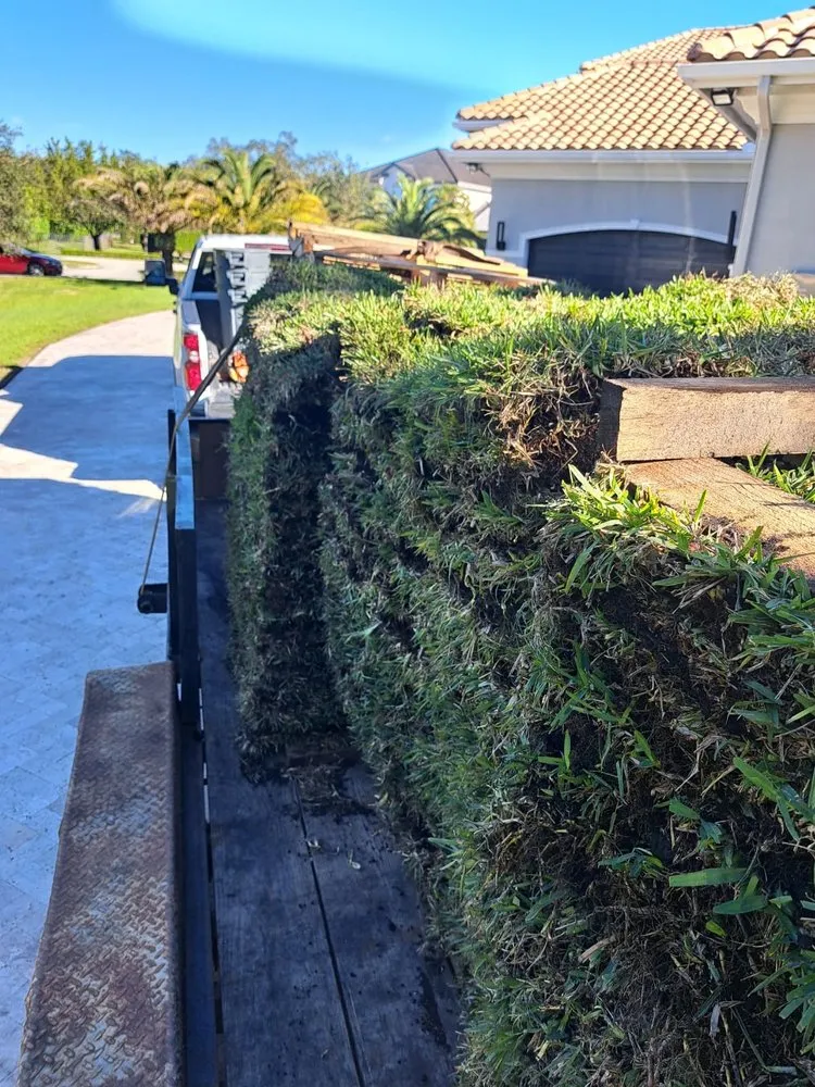 Expert landscape installation in Miramar, FL - Adorno Landscaping