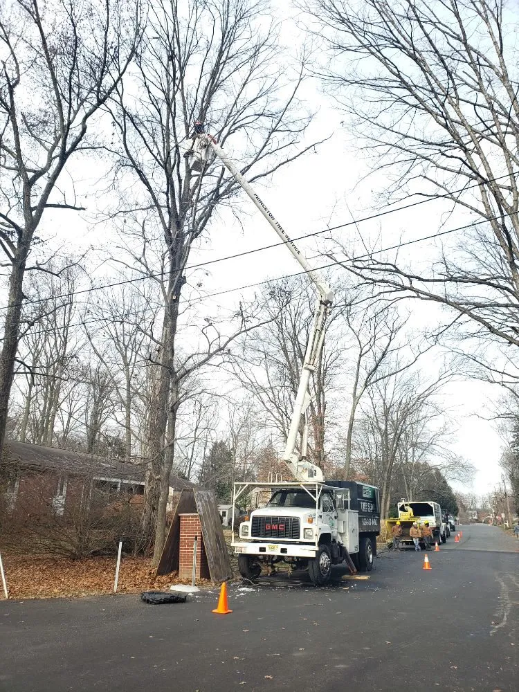 Top-rated garden landscaping for year-round maintenance in Princeton, NJ by ADP Land Design and Tree Service