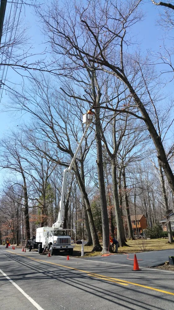 Affordable yard maintenance for residential properties in Princeton, NJ by ADP Land Design and Tree Service