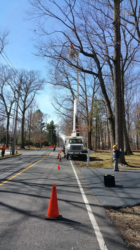 Professional yard maintenance in Princeton, NJ - ADP Land Design and Tree Service