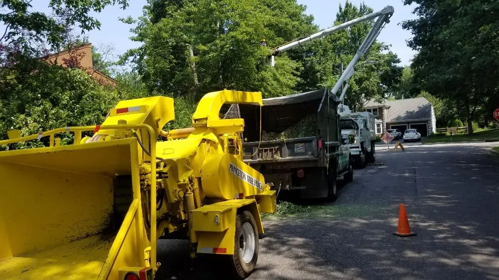 Custom garden landscaping in Princeton, NJ - ADP Land Design and Tree Service