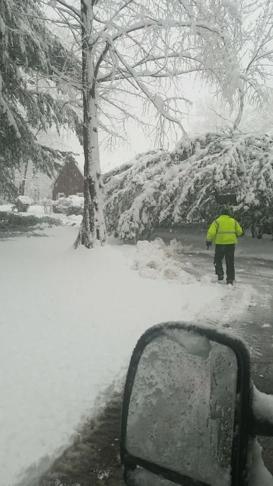 Professional garden landscaping in Princeton, NJ - ADP Land Design and Tree Service