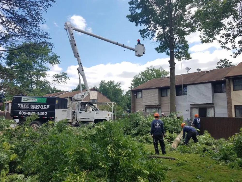 Affordable landscaping services for outdoor upgrades across Princeton, NJ - ADP Land Design and Tree Service