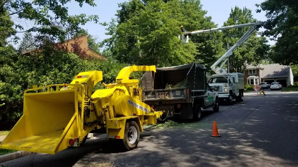 Custom lawn mowing service for homes across Princeton, NJ - ADP Land Design and Tree Service