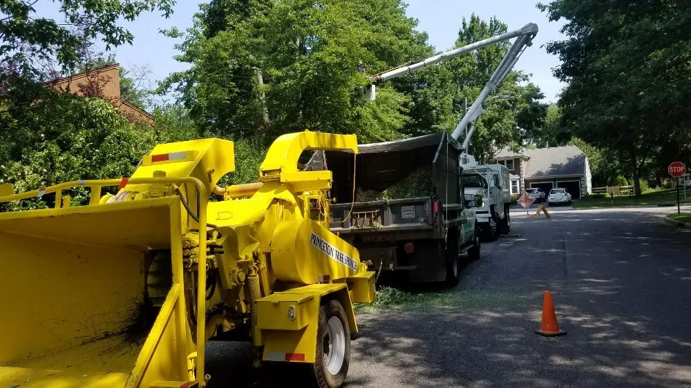Affordable outdoor landscaping with custom design in Princeton, NJ by ADP Land Design and Tree Service