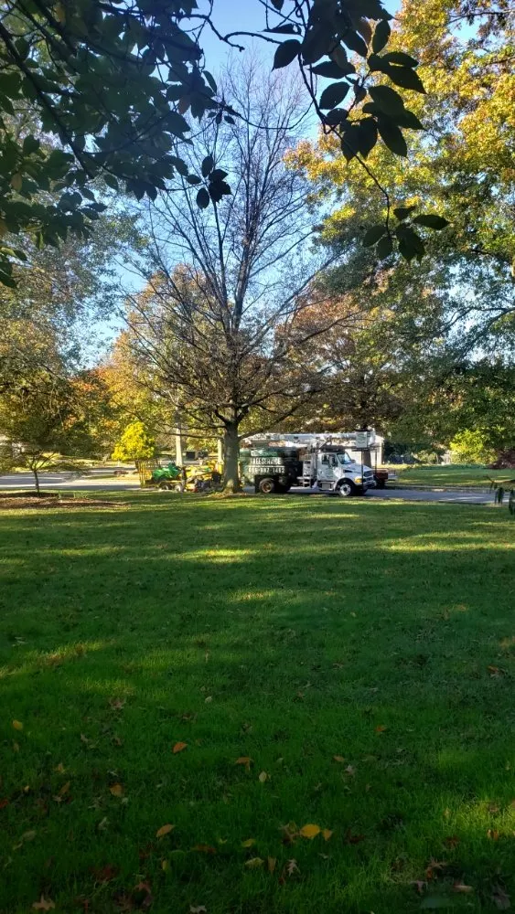 Trusted garden landscaping in Princeton, NJ - ADP Land Design and Tree Service