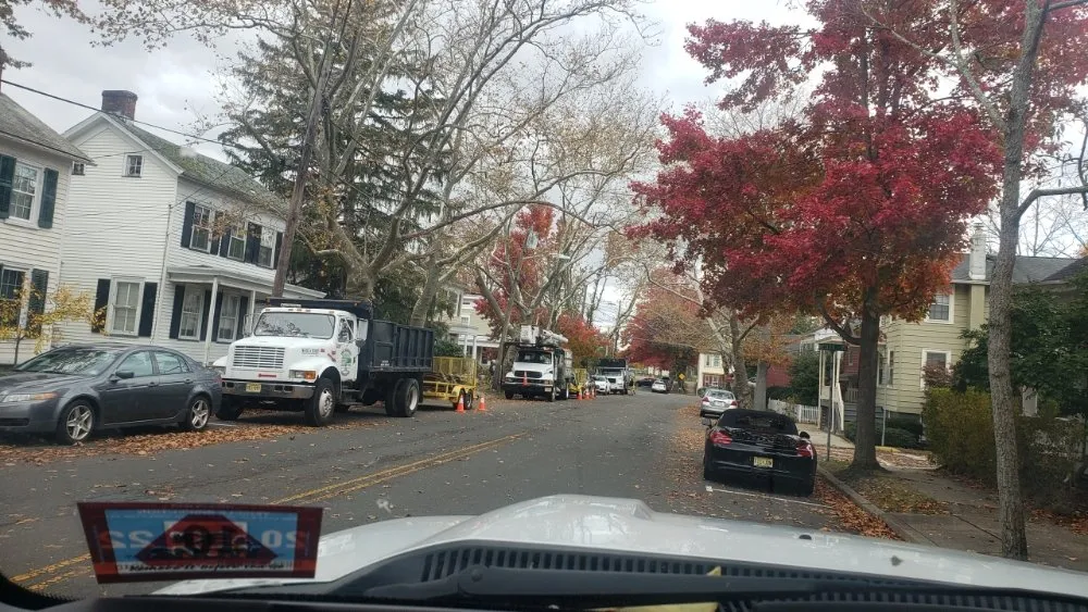 Trusted landscape design near you across Princeton, NJ - ADP Land Design and Tree Service