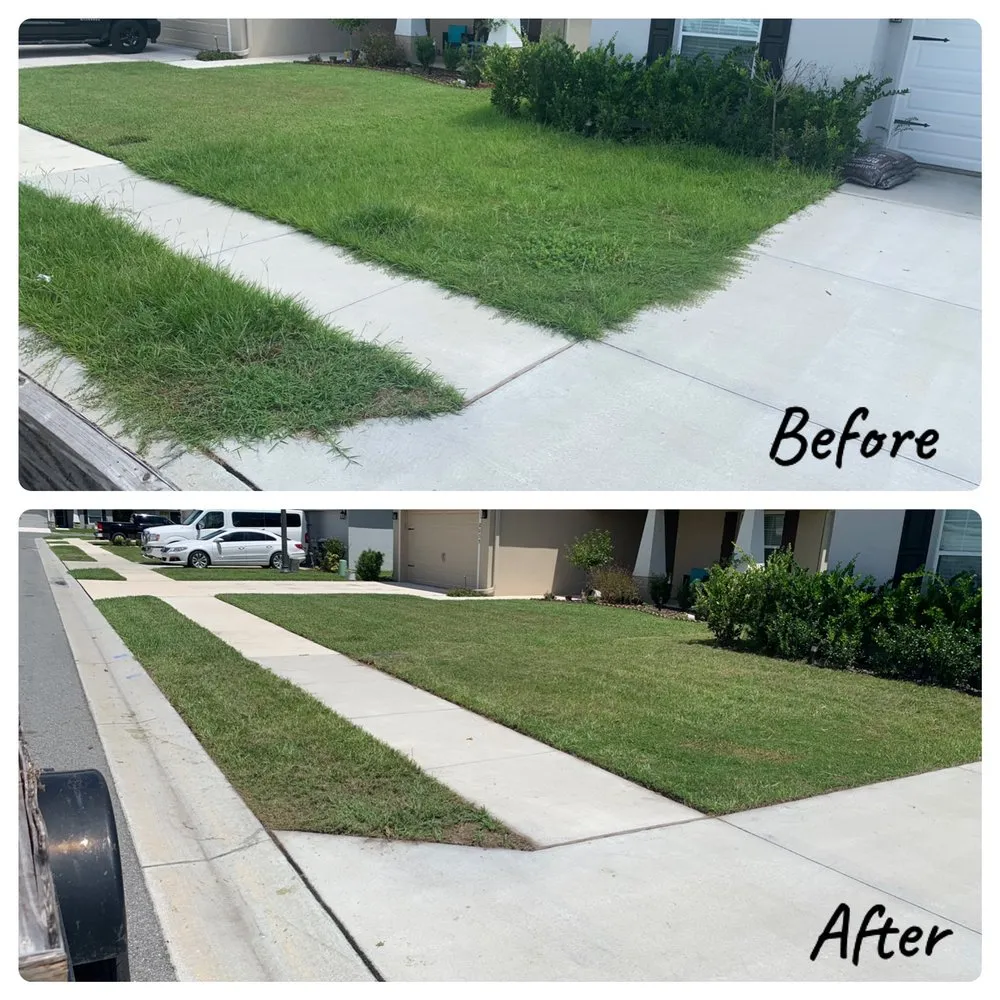 Professional yard cleanup service in Winter Haven, FL by Adquatecorp