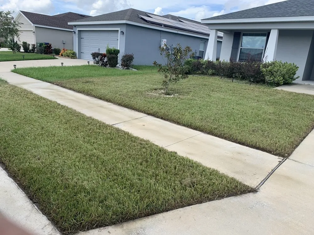 Local landscaping services in Winter Haven, FL - Adquatecorp
