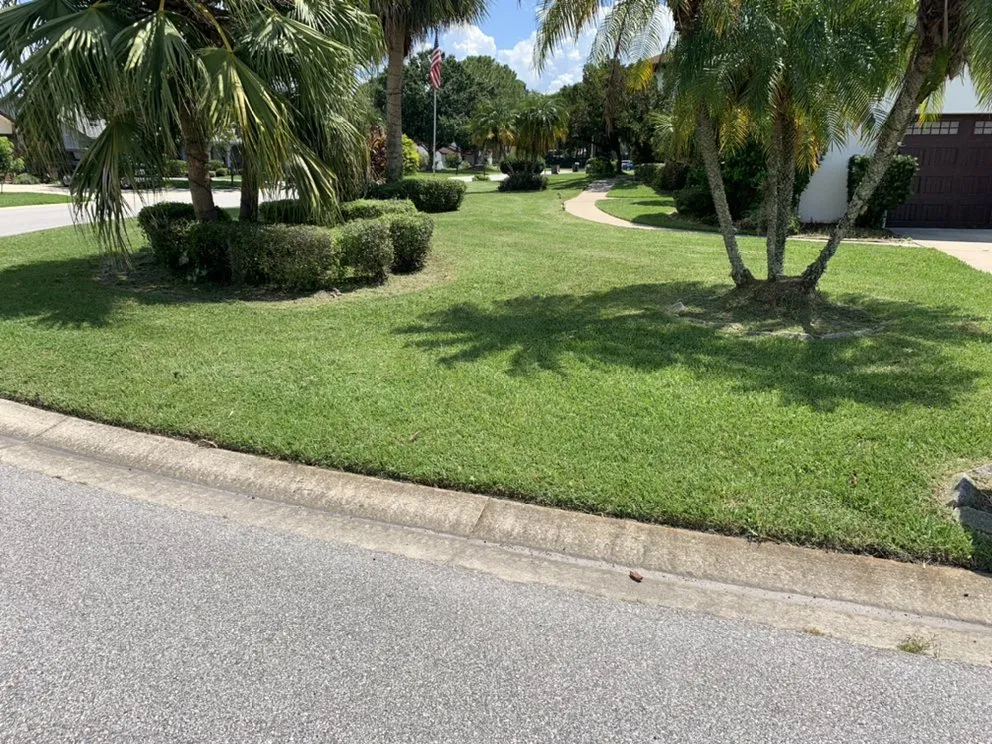 Trusted landscape design for beautiful yards across Winter Haven, FL - Adquatecorp