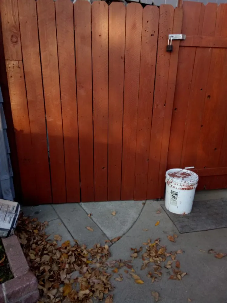 Affordable yard cleanup service near you across Lodi, CA - ADR Landscaping