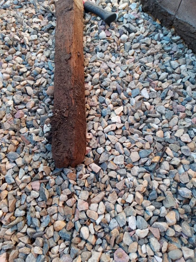 Affordable lawn care service in Lodi, CA by ADR Landscaping