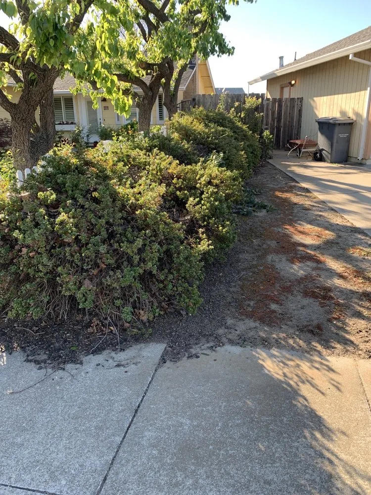 Affordable landscape installation for homes across Lodi, CA - ADR Landscaping