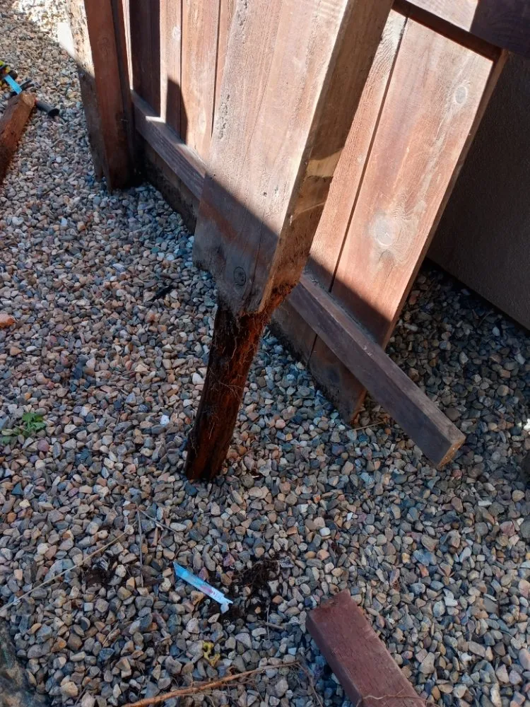 Expert lawn care service in Lodi, CA - ADR Landscaping